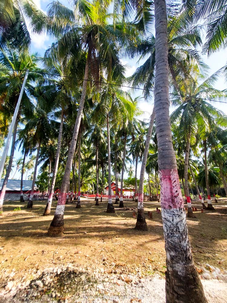 INI NIH SUDUT SUDUT CANTIK DI PANTAI OESELI PULAU ROTE NTT